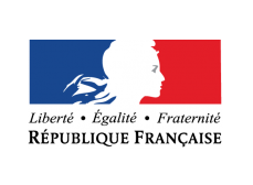 Logo Ambassade de France